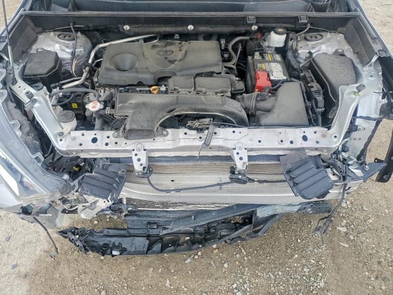 2019 TOYOTA RAV4 XLE XLE 12
