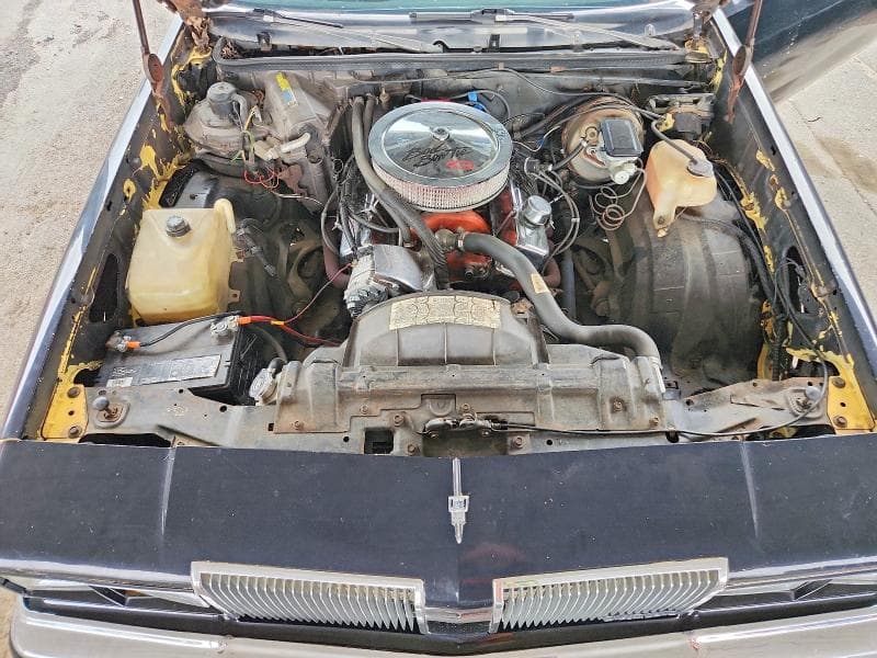 1980 OLDSMOBILE CUTLASS 11