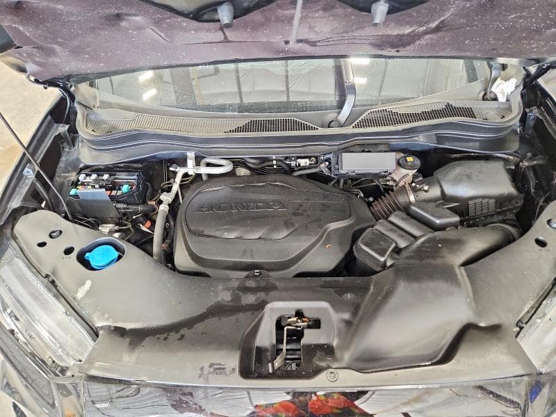 2023 HONDA PASSPORT TRAIL SPORT 12