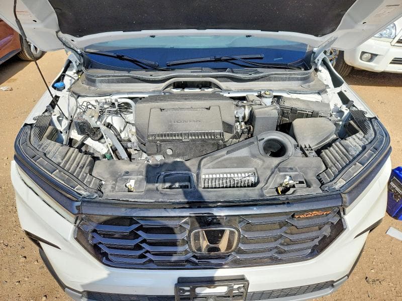 2025 HONDA PILOT TRAILSPORT 11