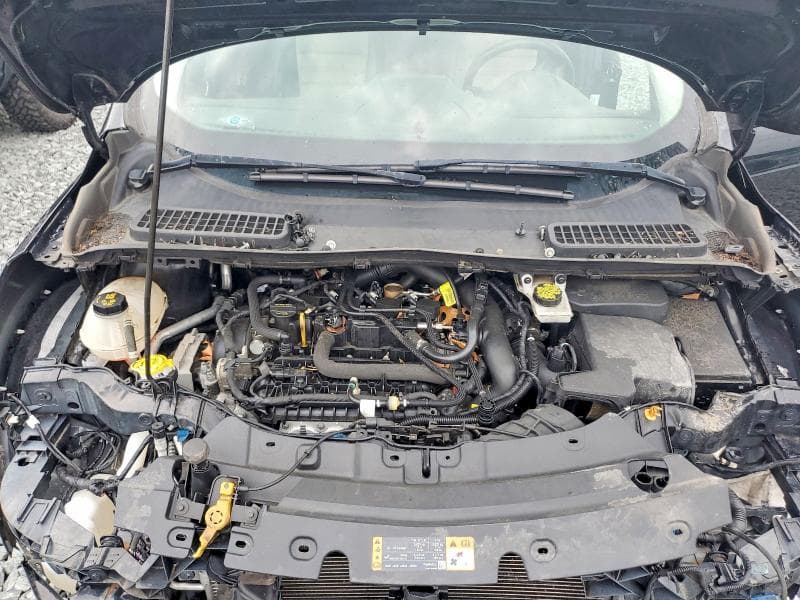 2019 FORD ESCAPE 12