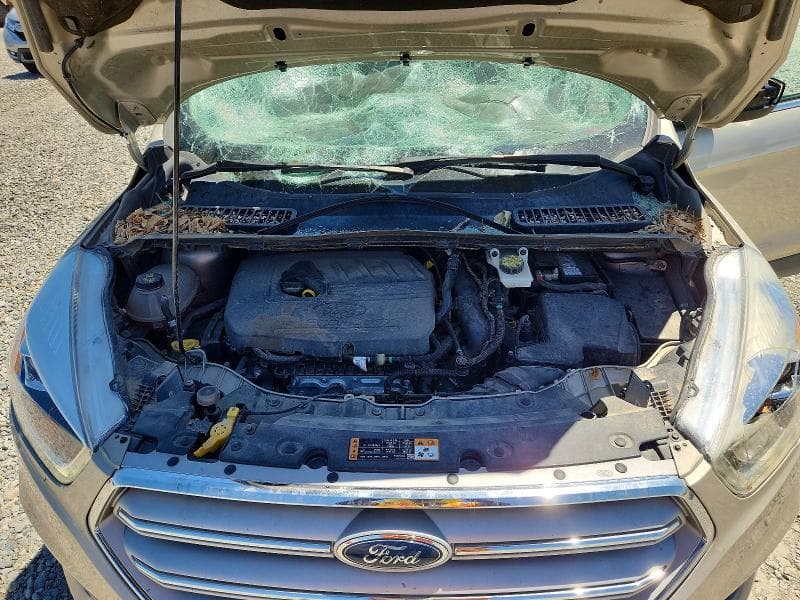2018 FORD ESCAPE SEL 12