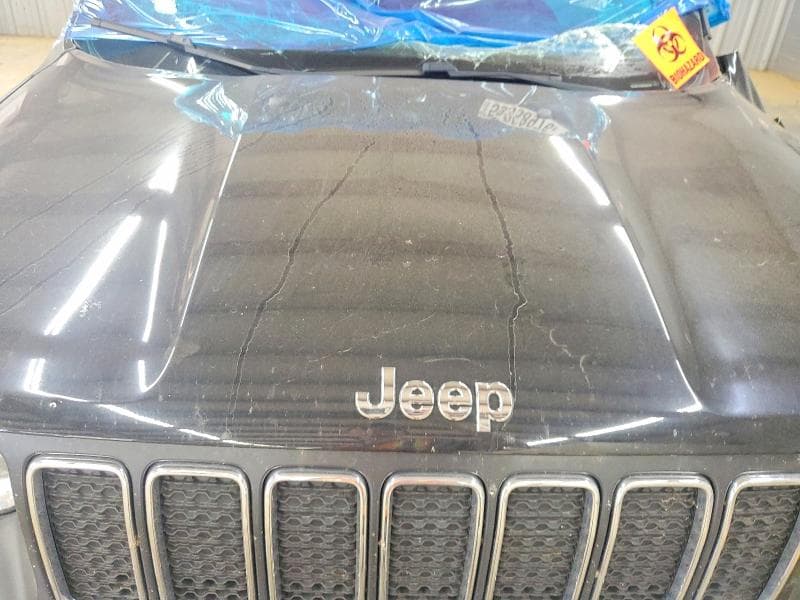 2019 JEEP RENEGADE SPORT 11