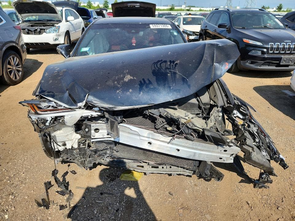 2019 LEXUS ES 350 5