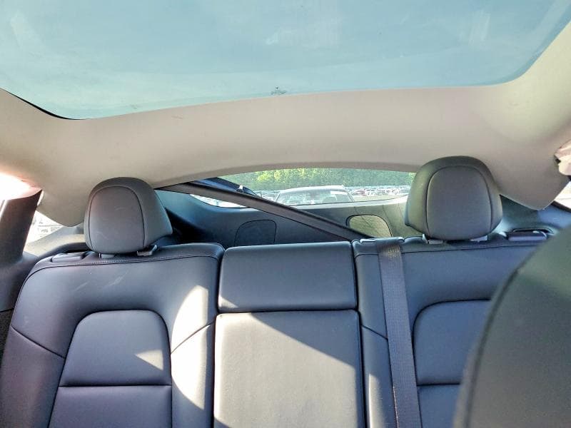 2023 TESLA MODEL Y 10