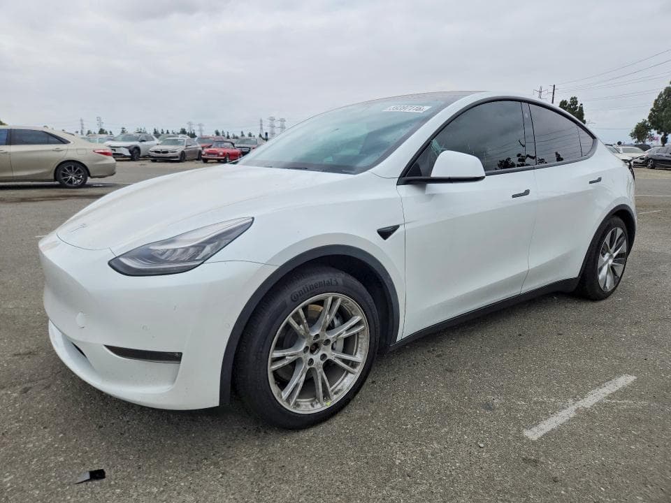 2021 TESLA MODEL Y - 1