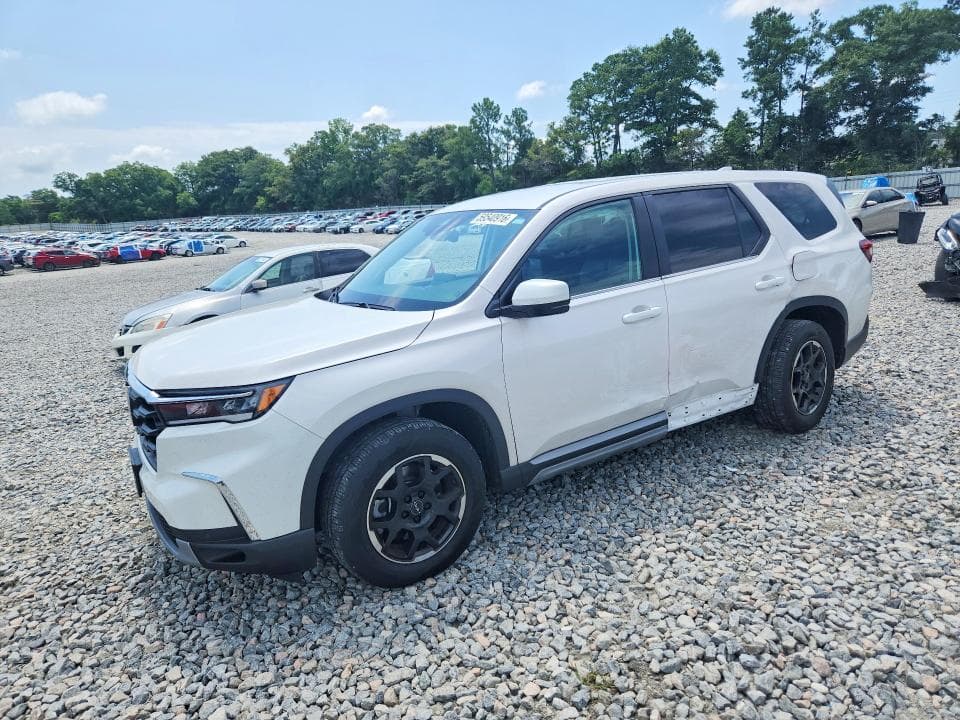 2025 HONDA PILOT EXL - 1