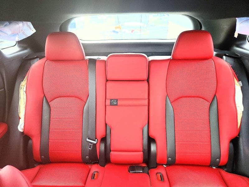 2022 LEXUS RX 350 F SPORT 10