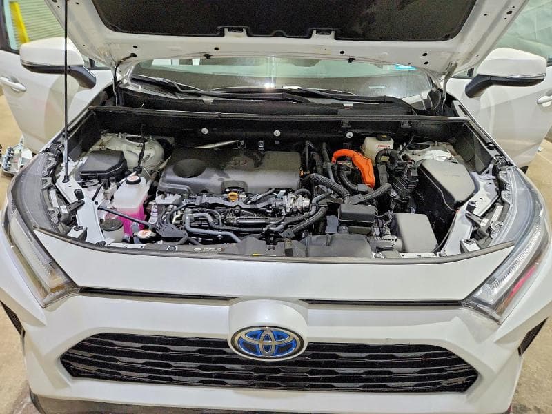 2024 TOYOTA RAV4 SE SE 11