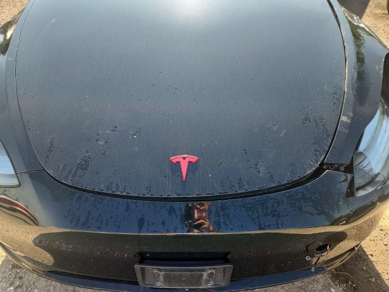 2023 TESLA MODEL Y 11
