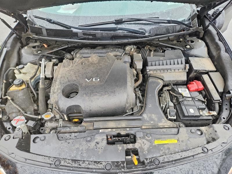 2019 NISSAN MAXIMA 3.5 S 11