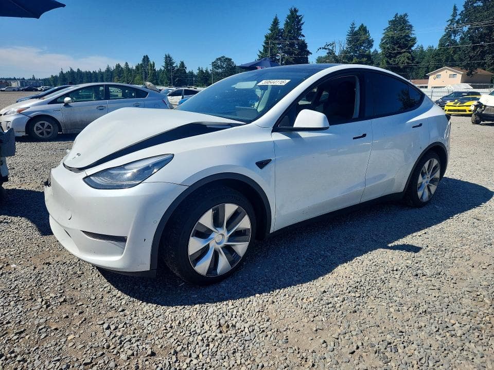 2021 TESLA MODEL Y - 1