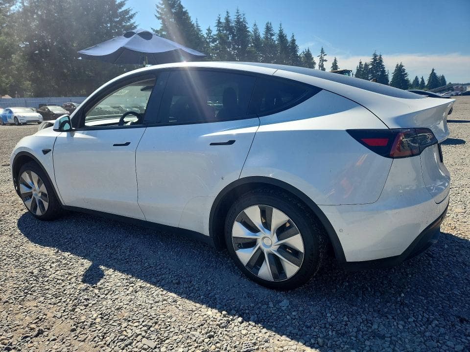 2021 TESLA MODEL Y 2