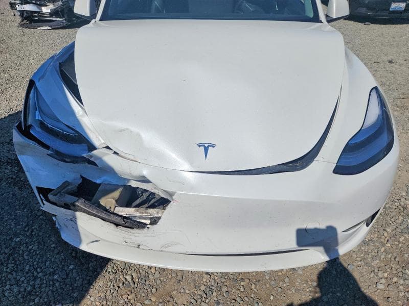2021 TESLA MODEL Y 11