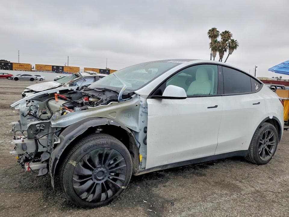 2024 TESLA MODEL Y 1