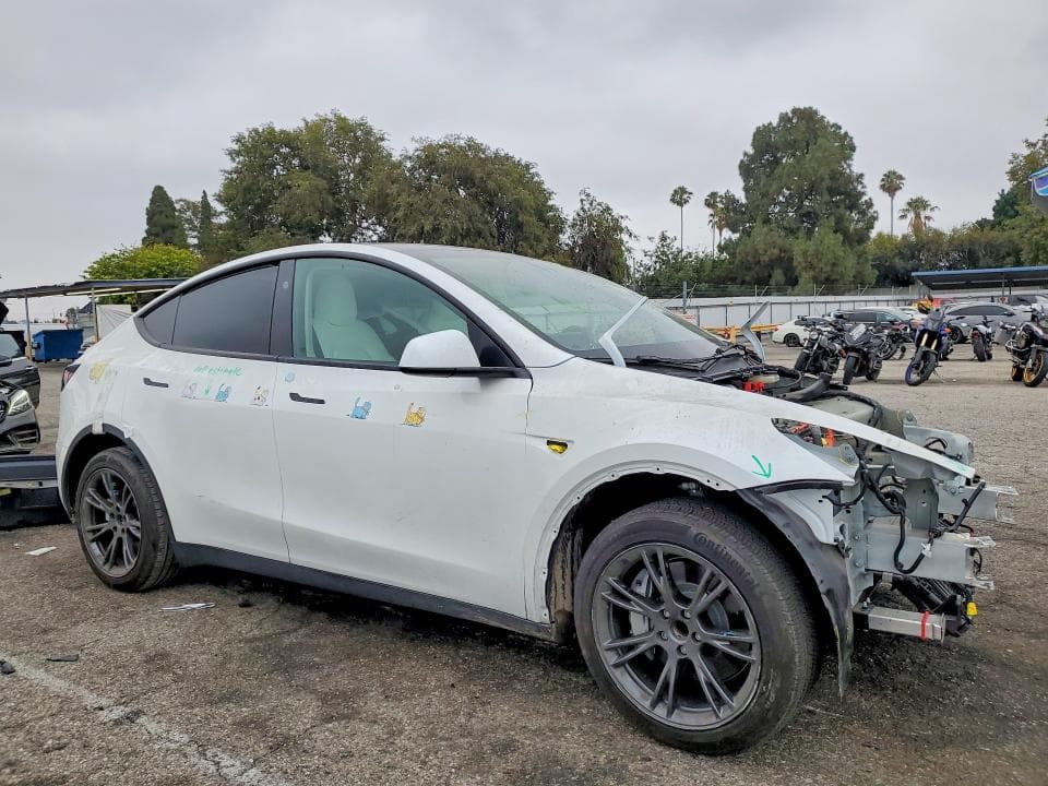 2024 TESLA MODEL Y 4