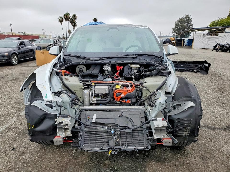 2024 TESLA MODEL Y 5