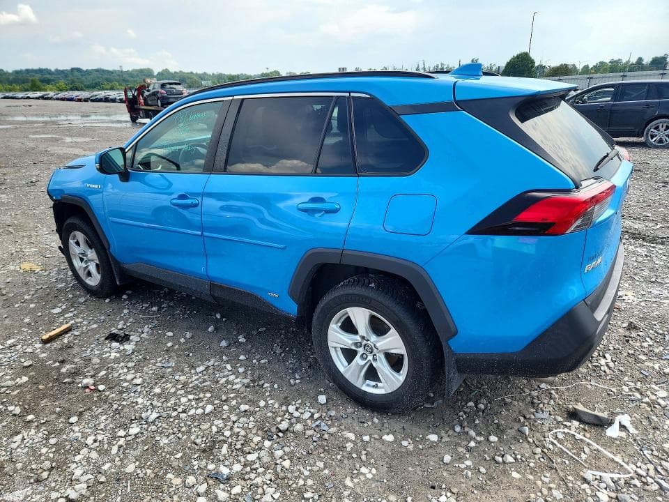 2019 TOYOTA RAV4 LE 2
