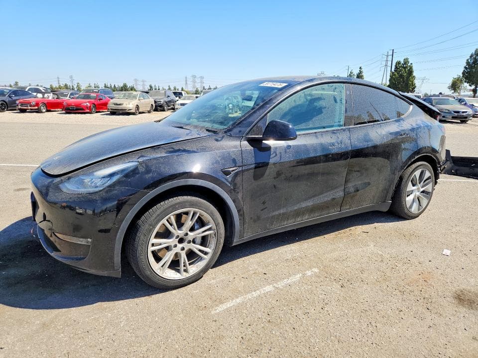 2021 TESLA MODEL Y - 1