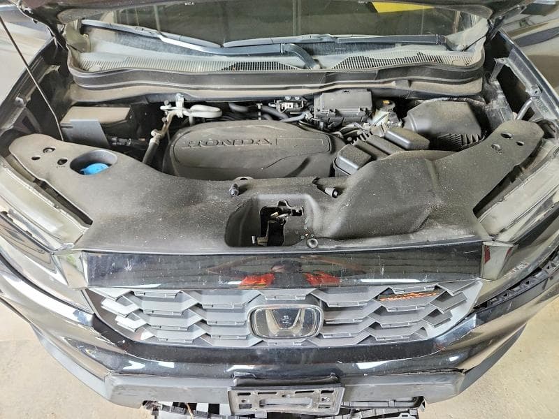 2023 HONDA PASSPORT TRAIL SPORT 12