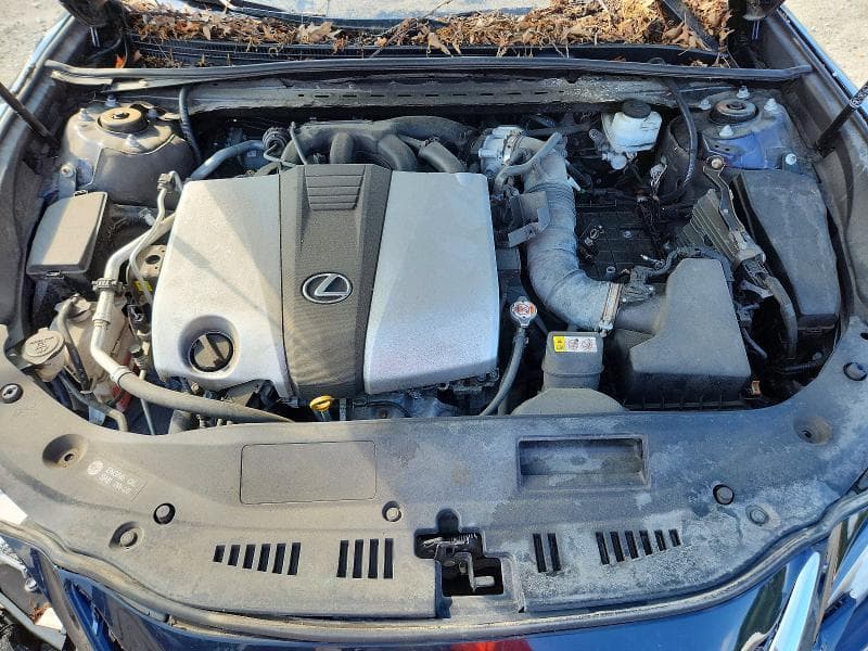 2019 LEXUS ES 350 11