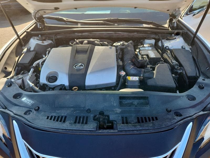 2019 LEXUS ES 350 350 11