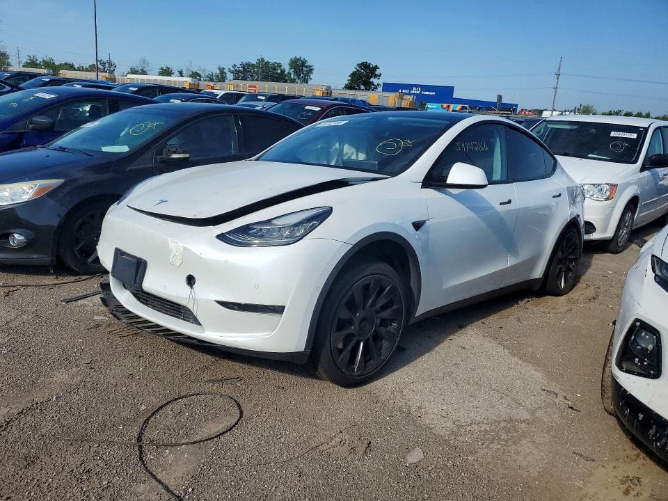 2020 TESLA MODEL Y - 1