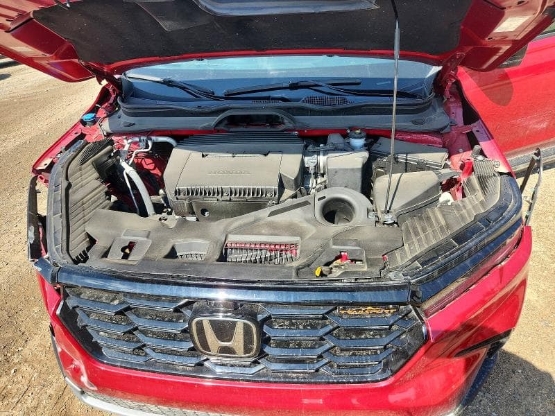 2024 HONDA PILOT TRAILSPORT 12
