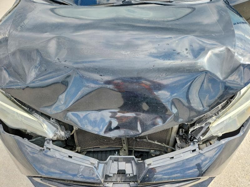 2019 TOYOTA COROLLA L L 11