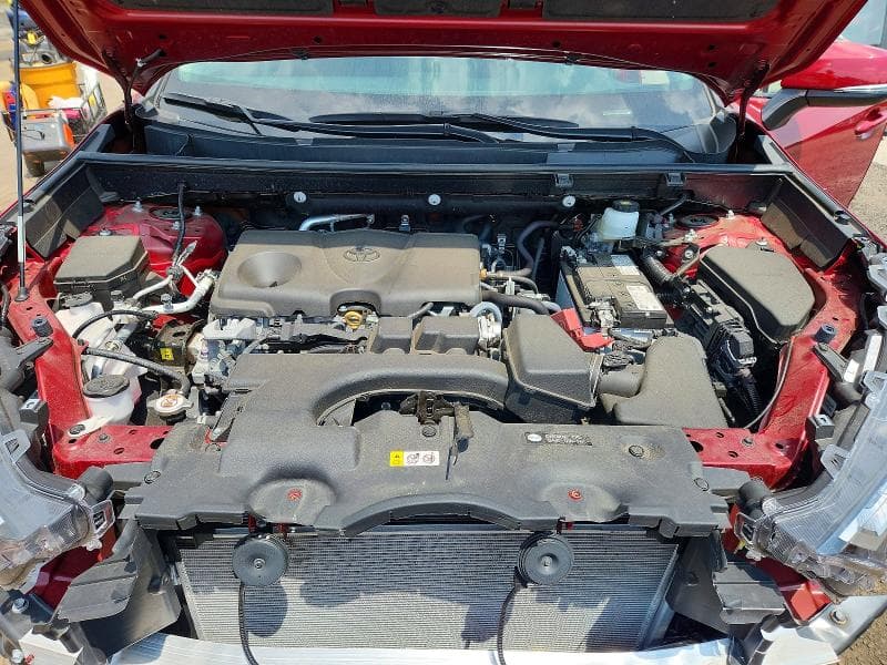 2024 TOYOTA RAV4 XLE 12