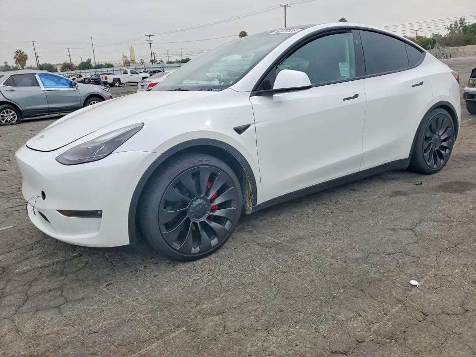 2023 TESLA MODEL Y - 1