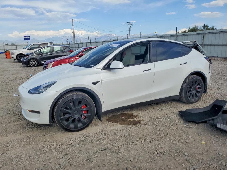 2021 TESLA MODEL Y 1