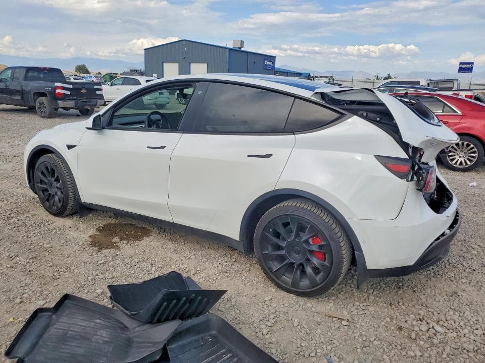 2021 TESLA MODEL Y 2