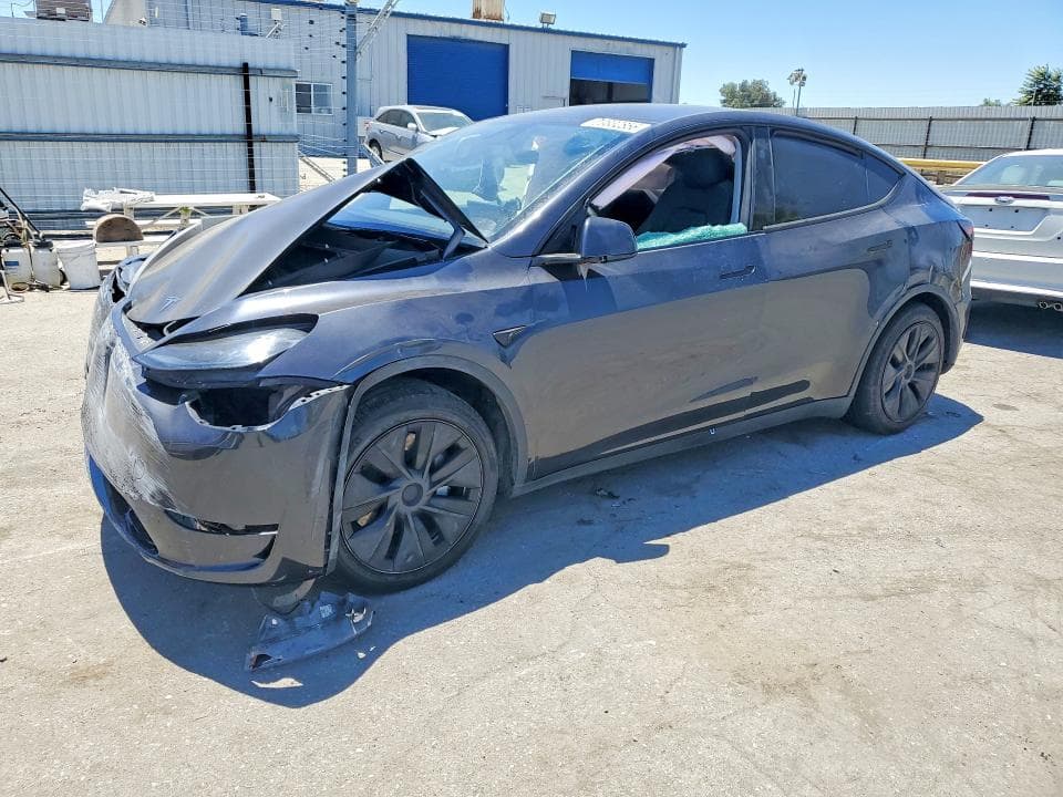 2025 TESLA MODEL Y - 1