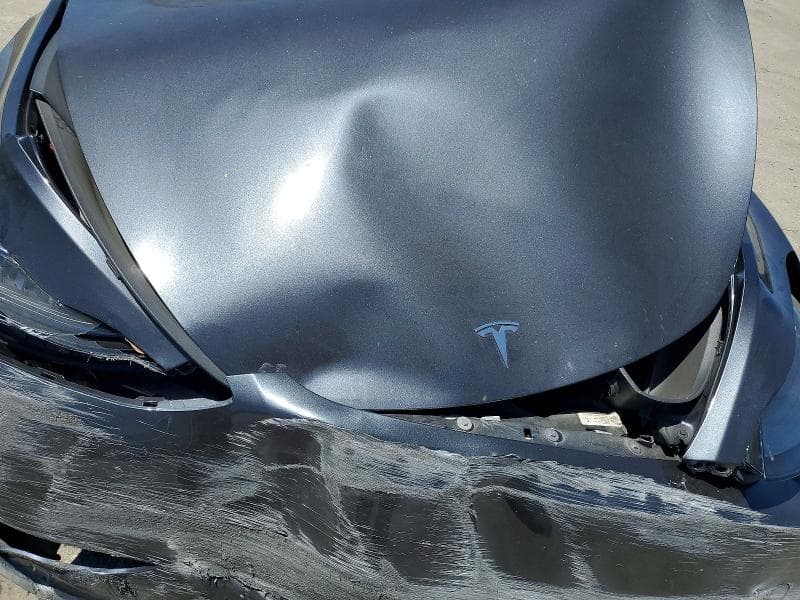2025 TESLA MODEL Y 11
