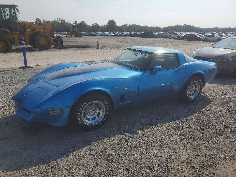 1981 CHEVROLET CORVETTE