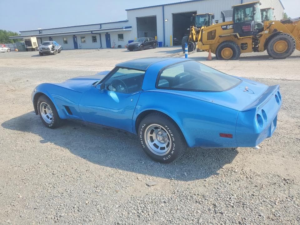 1981 CHEVROLET CORVETTE 2