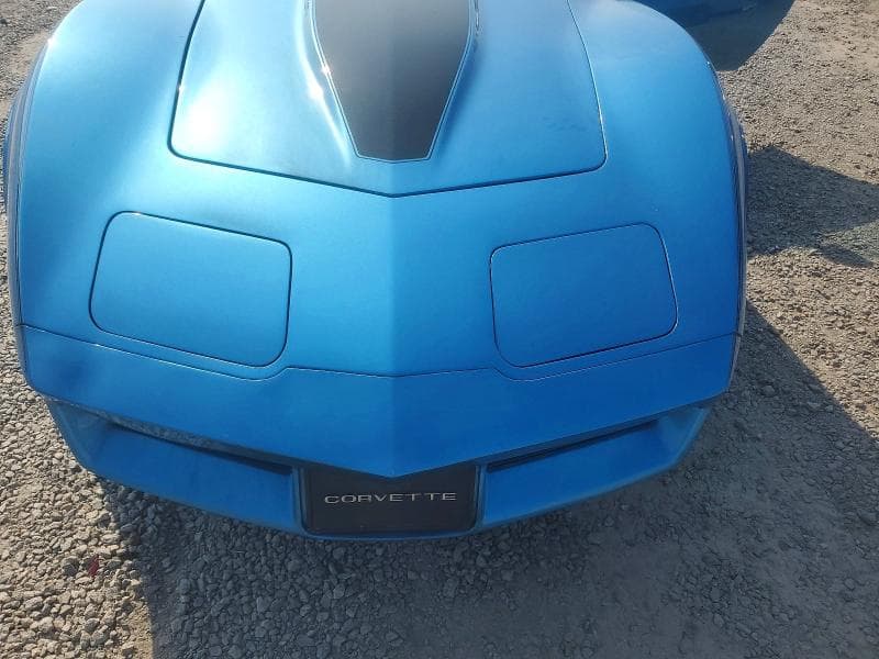 1981 CHEVROLET CORVETTE 11