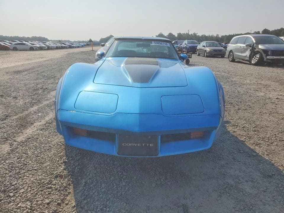 1981 CHEVROLET CORVETTE 5