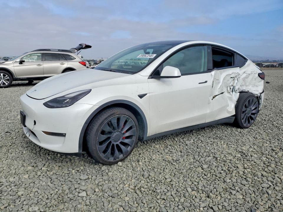 2022 TESLA MODEL Y - 1