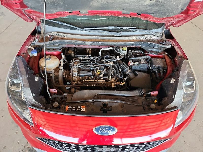 2021 FORD ESCAPE SE SE 12