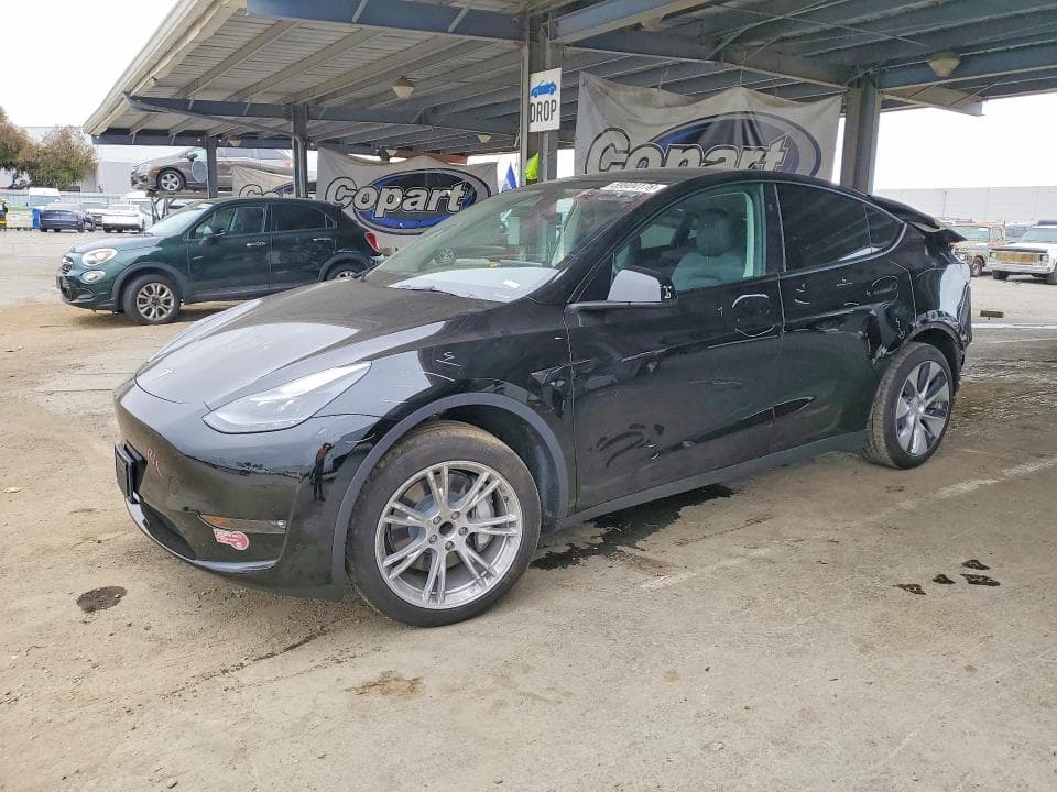2023 TESLA MODEL Y - 1