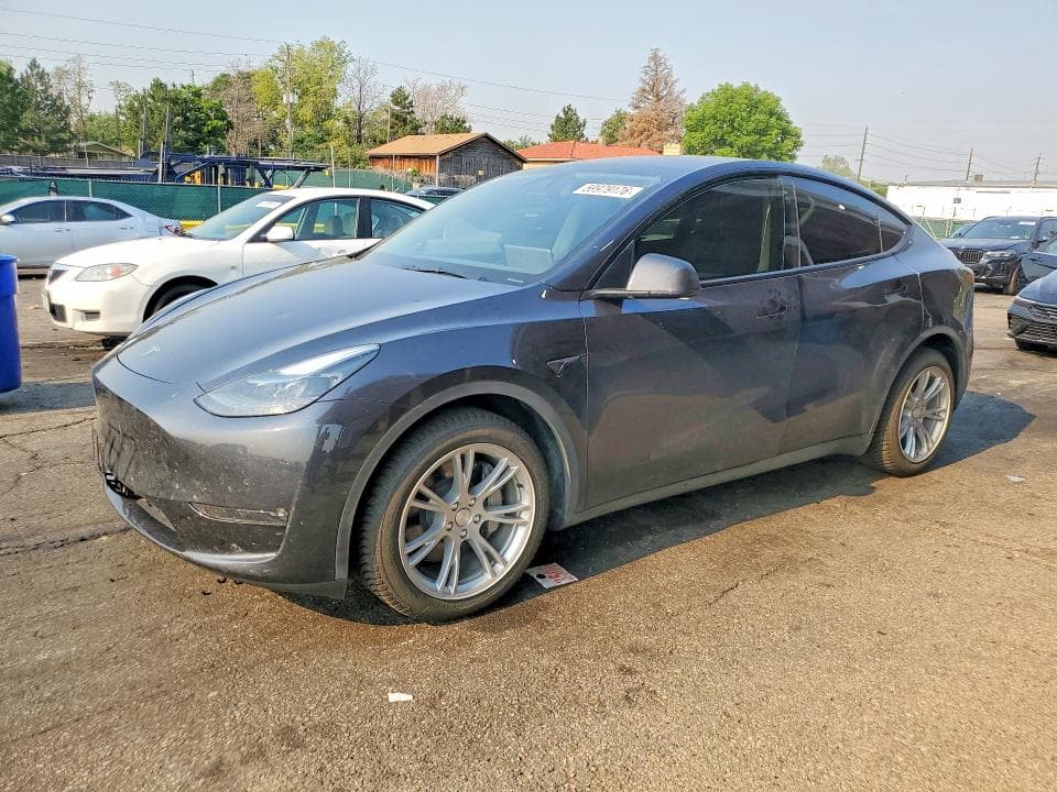 2024 TESLA MODEL Y 1