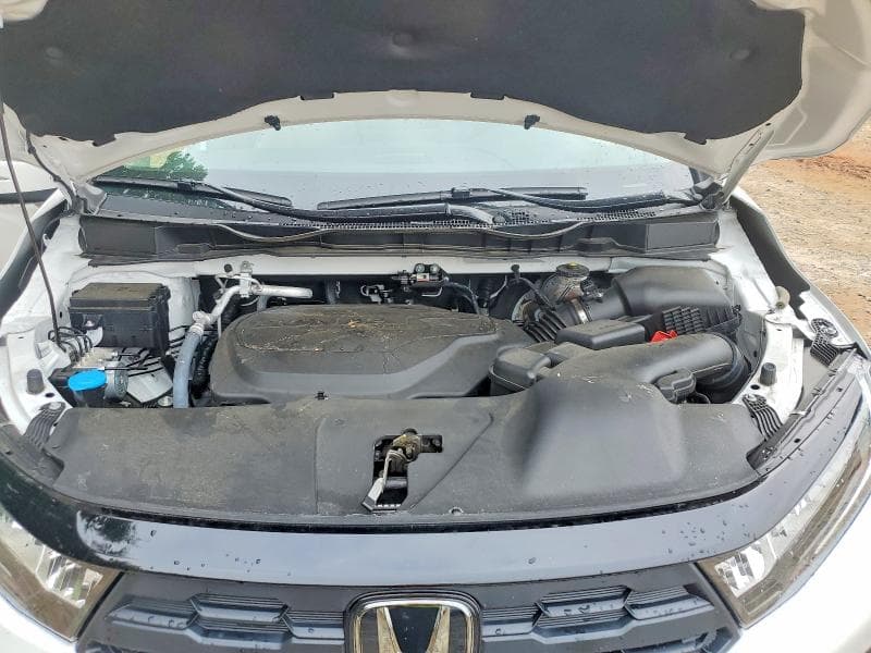 2025 HONDA ODYSSEY EXL 12