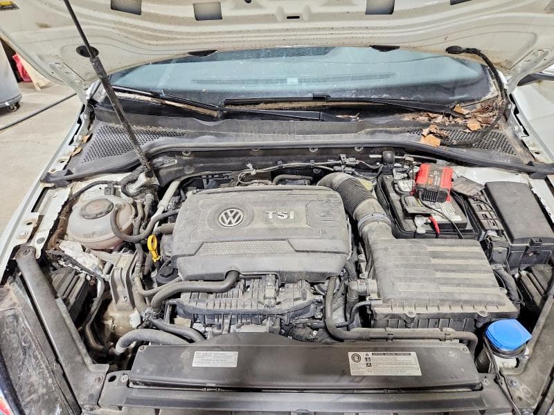 2019 VOLKSWAGEN GTI S/SE/AUTOBAHN/RABBIT EDITION 12
