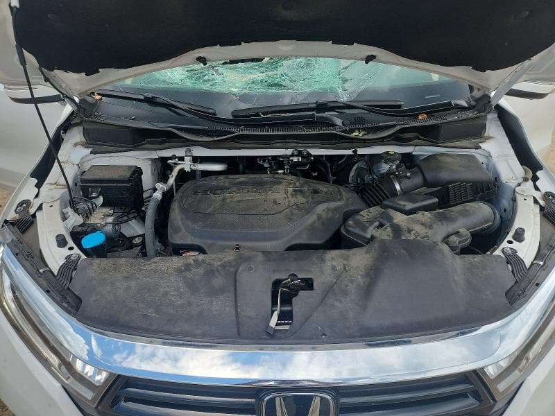 2024 HONDA ODYSSEY EXL 12