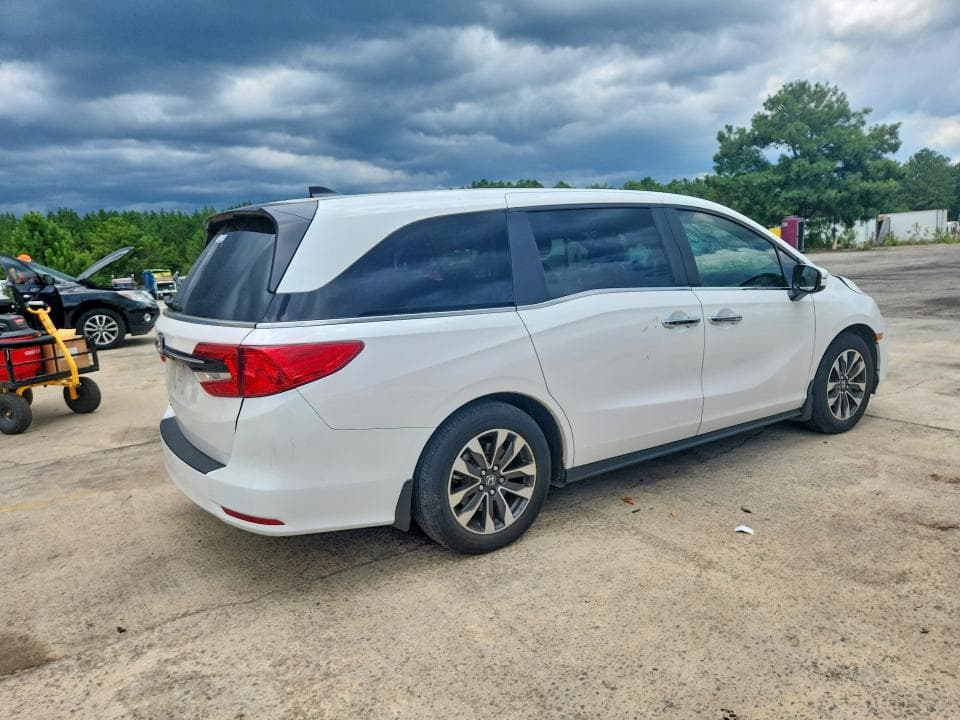 2024 HONDA ODYSSEY EXL 3