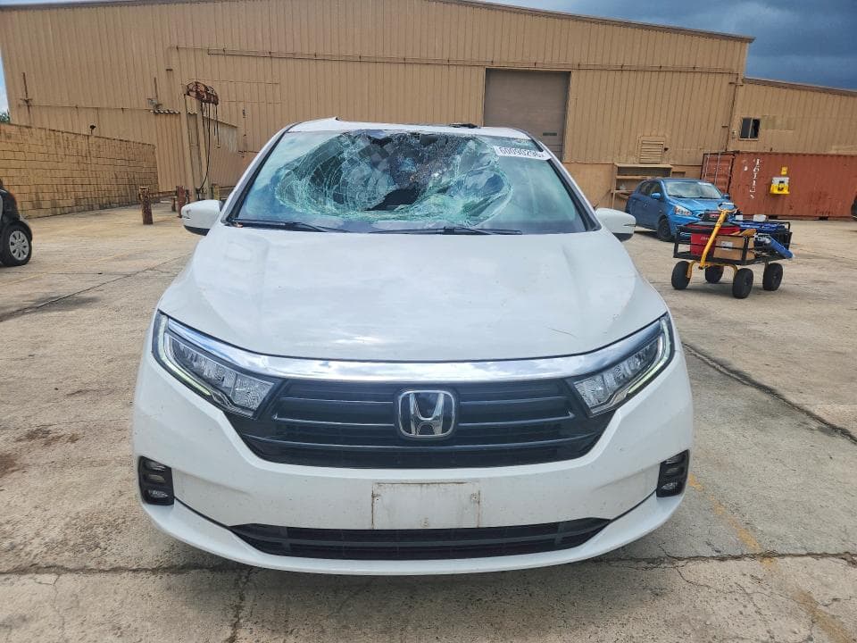 2024 HONDA ODYSSEY EXL 5