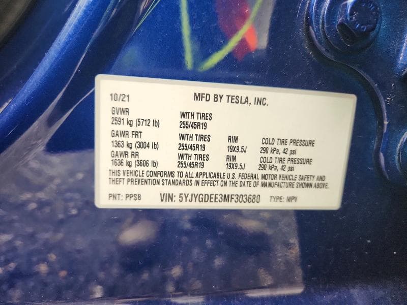 2021 TESLA MODEL Y 12