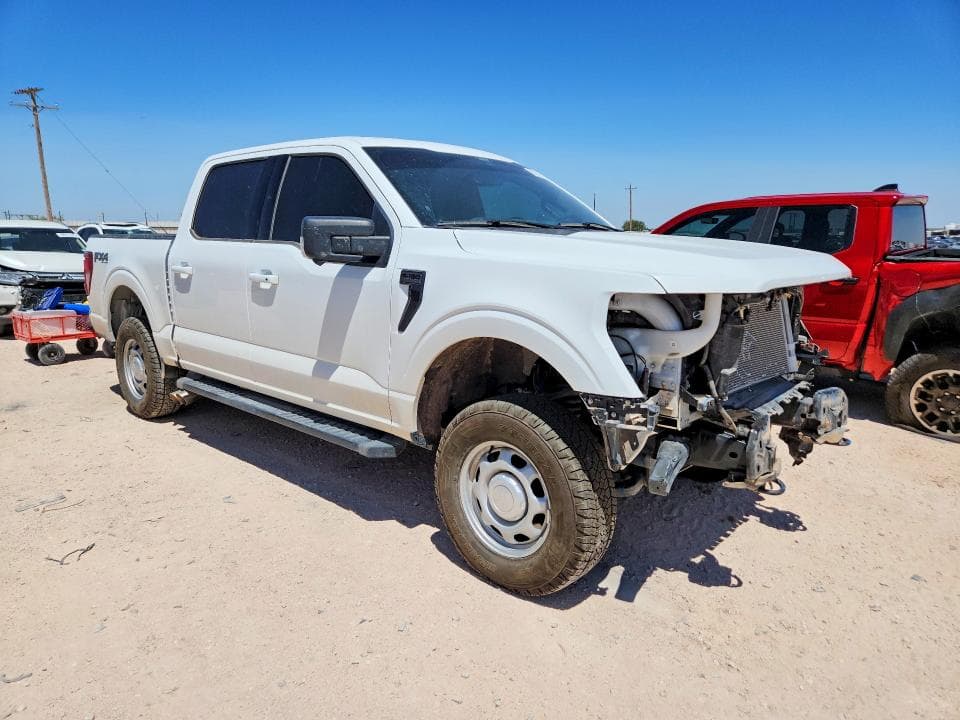 2025 FORD F150 XLT 4